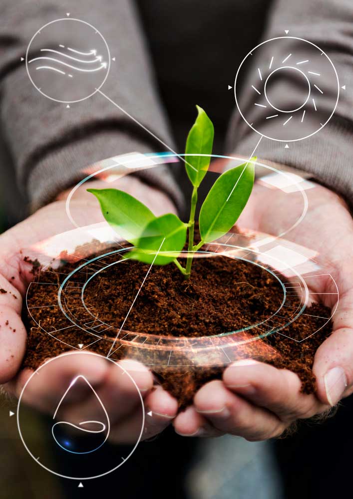 Sustainability